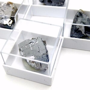 Galena Crystals Raw Mineral in a Gem Collectors Case