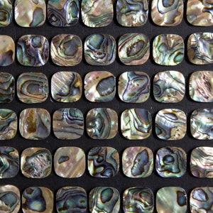 Abalone Square - Abalone Cabochon -16mm (RK36B21-14)