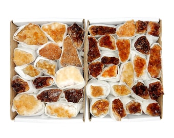 Citrine Cluster Flat Box 8-16 Piece Box (BOX-17)