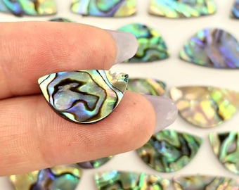 May include: A collection of iridescent abalone shell half-circles in various shades of green, blue, and purple. The shells have a natural, organic shape and a smooth, polished surface.