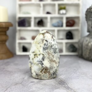 Dendritic Opal Freeform Cut Base Stone - (DOOAK-S29-27)