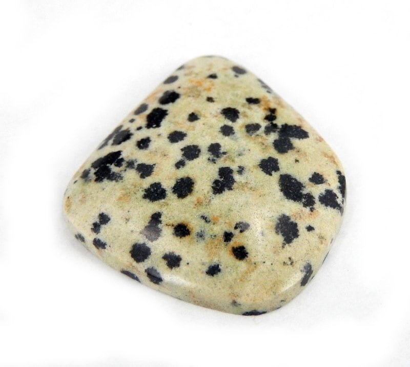 Dalmatian Jasper Stone Dalmatian Jasper Cabochons Etsy