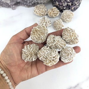 Desert Rose Gypsum - Desert Rose Stones- Selenite  (RK25B102)