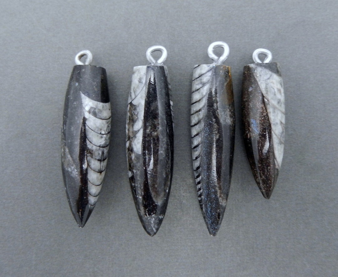 Orthoceras Point Fossil Spike Pendant With Silver Plated Bail RK110B15 ...