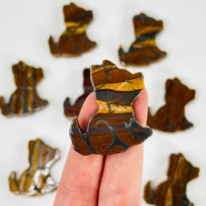 Tigers Eye Dog Crystal Cabochon