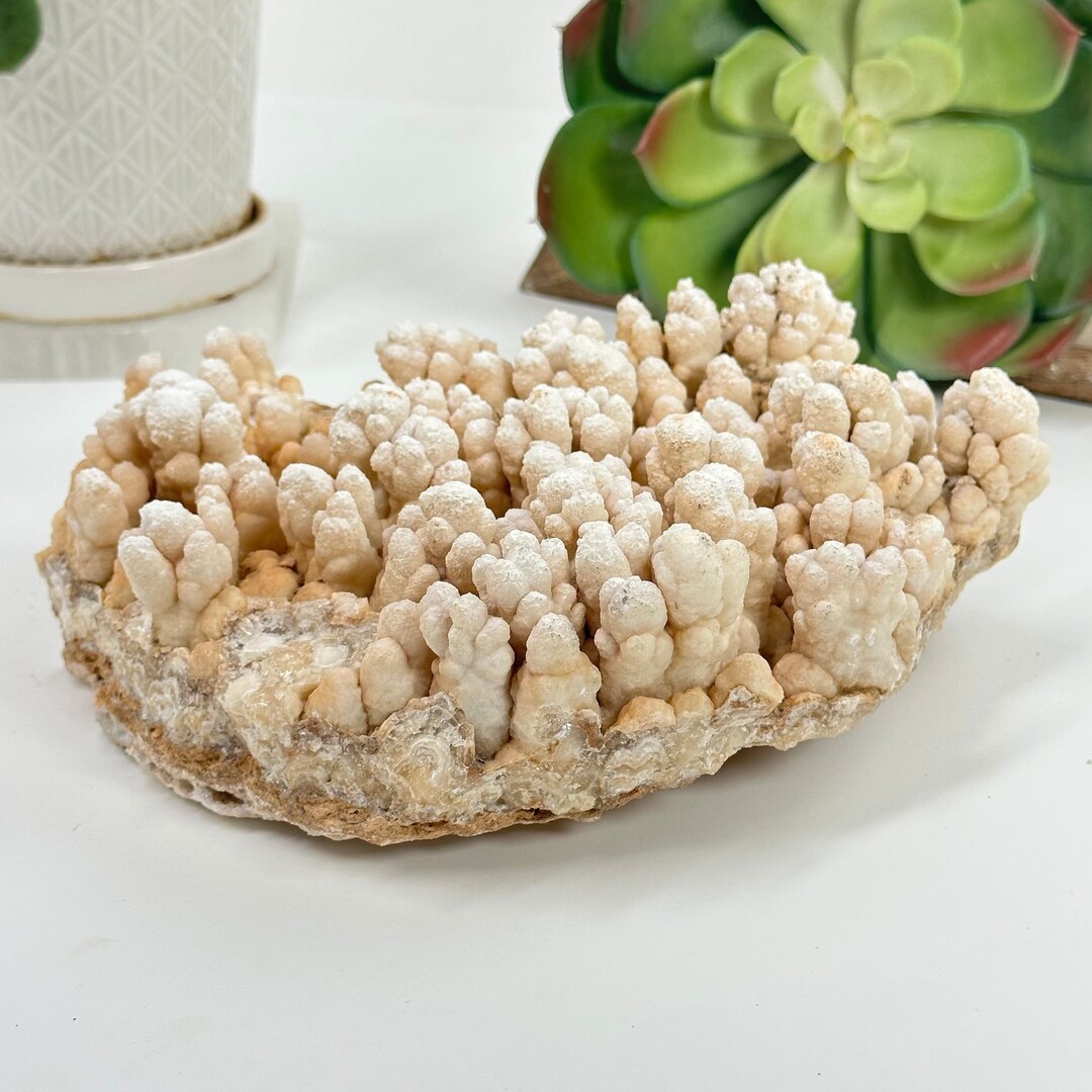 方解石 鍾乳石 自由形状結晶鉱物 - Etsy 日本