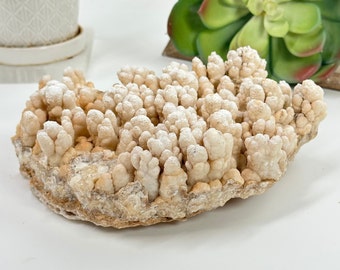 方解石 鍾乳石 自由形状結晶鉱物 - Etsy 日本