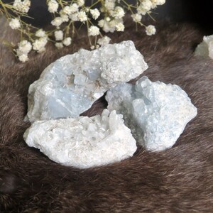 May include: Three blue celestite crystal clusters on a brown faux fur background. The crystals are a light blue color and have a rough, natural texture.