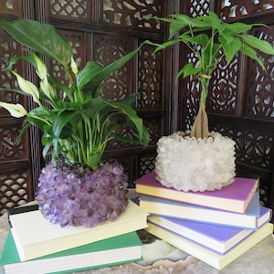Crystal Point Plant Holder - Choose Amethyst or Crystal Quartz Pot - Amazing Home Decor (RK6A)