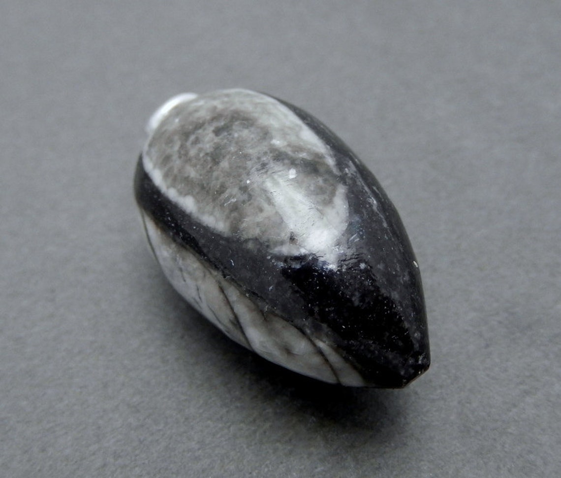 •ORTHOCERAS - TEARDROP• split band silver ring (size 6)