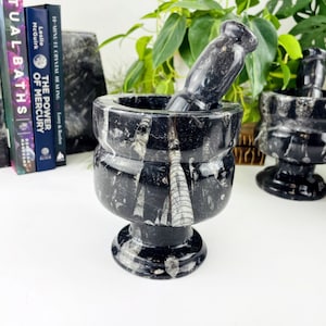 Orthoceras Fossil Mortar and Pestle