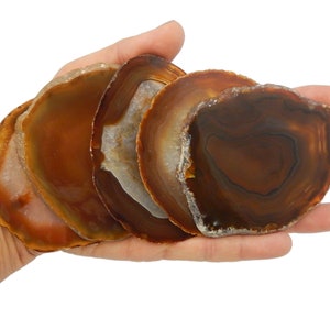 May include: A set of five agate slices in shades of brown and white. The slices are translucent and have a natural, organic shape.