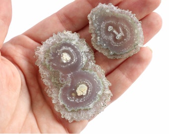 May include: Two amethyst crystal clusters with a green outer layer and a purple center. The crystals are in the shape of a flower and have a natural, rough texture.