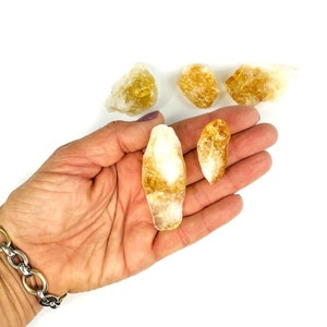Puede incluir: Cinco cristales de citrino sin pulir, en bruto, de color amarillo, de diferentes tama&ntilde;os y formas. Los cristales son transl&uacute;cidos y tienen un color amarillo claro.