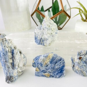 Blauer Kyanit Kristallmineralien-Steine-Kristall-Schnitt-Basis steht