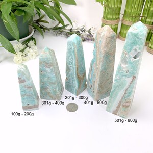 May include: Five blue and brown celestite crystal points of varying sizes, arranged in a row from smallest to largest. The points are labeled with their approximate weight in grams.