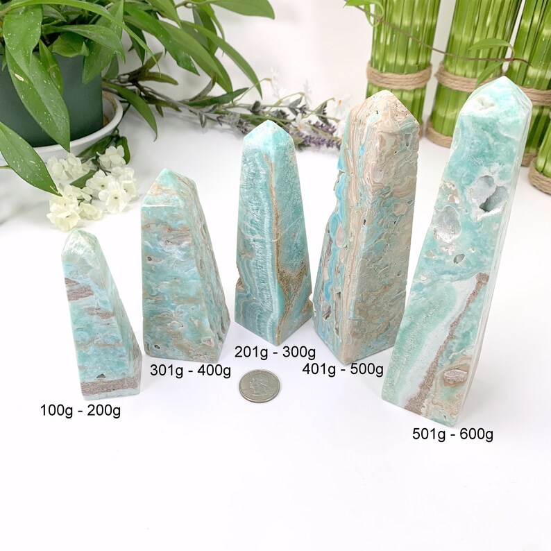 May include: Five blue and brown celestite crystal points of varying sizes, arranged in a row from smallest to largest. The points are labeled with their approximate weight in grams.