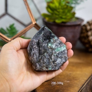 May include: A dark gray and green crystal with a pointed top. The crystal has a rough, textured surface with streaks of green and gray. The text "200-300g" is visible at the bottom of the image. The crystal is held in a hand.