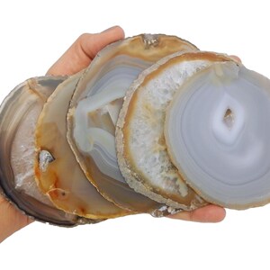 May include: A set of four agate coasters in shades of brown, gray, and white. The coasters are sliced and polished to reveal the natural patterns of the agate.