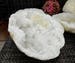 Geode - Extra Large White Color Druzy Geodes - Both Halves - Gorgeous Display Piece (OB - EXTRA LARGE) 