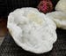 Geode - Extra Large White Color Druzy Geodes - Both Halves - Gorgeous Display Piece (OB - EXTRA LARGE)