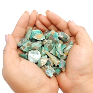 May include: A handful of turquoise gemstone chips in various sizes and shapes. The chips are a mix of green and brown colors.