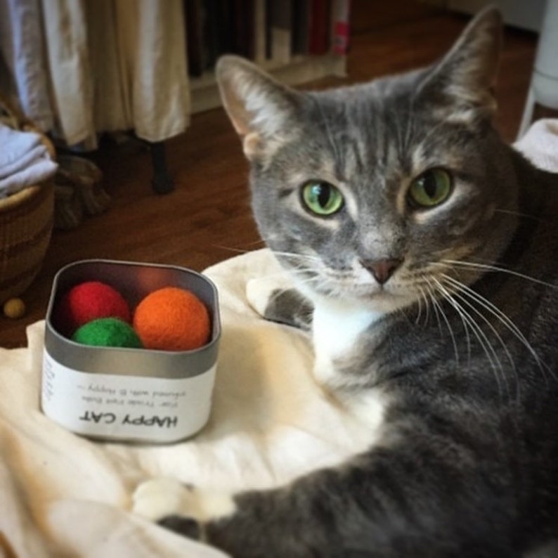 Pu&ograve; includere: Un gatto grigio tigrato con occhi verdi guarda la fotocamera. Il gatto &egrave; sdraiato su una superficie bianca con un piccolo contenitore argentato di tre palline di feltro. Il contenitore ha la scritta "Happy Cat" stampata sul lato.