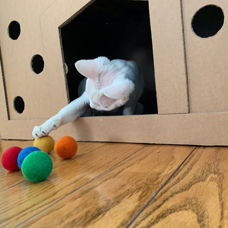 Pu&ograve; includere: Un gatto bianco con grandi orecchie spunta da una casetta di cartone per gatti. Il gatto sta giocando con palline di feltro colorate sul pavimento di legno.