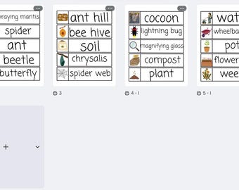 Preschool Word Wall Words- Insects and garden