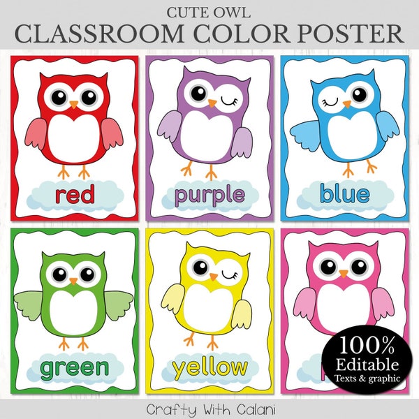 Color Poster Classroom Decor, Owl Classroom Theme, Editable Color Poster, Pre-School Color Poster, Owl Classroom Poster, Color Recognition
