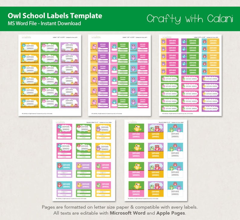School Name Label Owl School Label Template Owl Name Label Etsy
