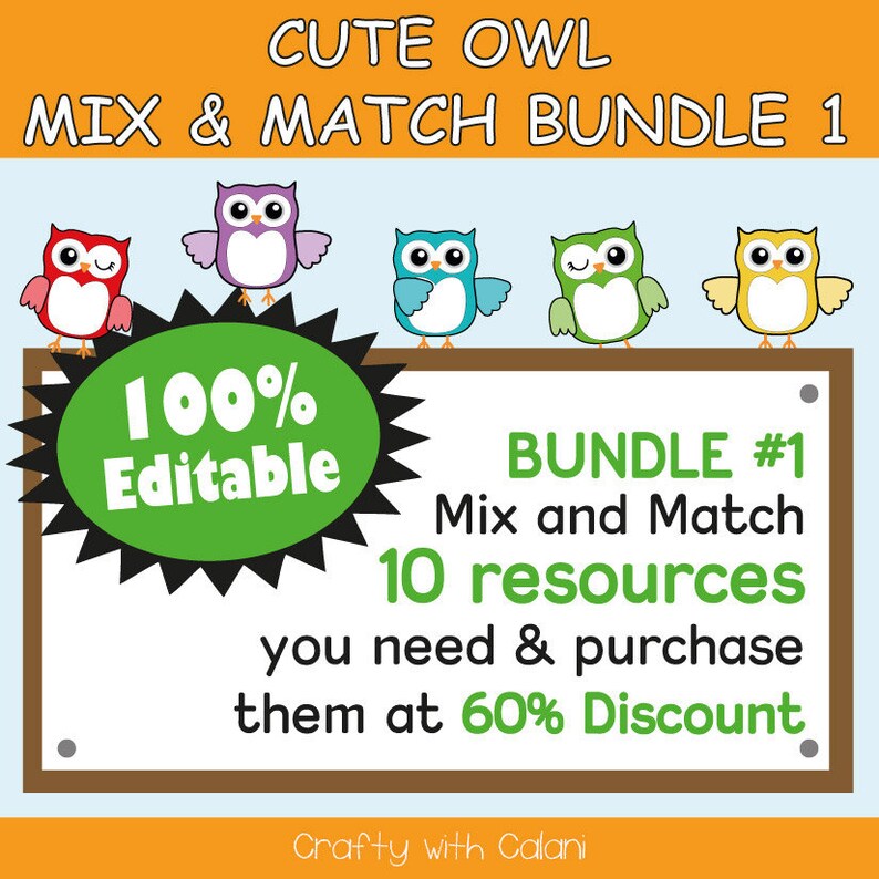 Owl Themed Classroom Voice Manager Poster Set Teaching Resource Cd