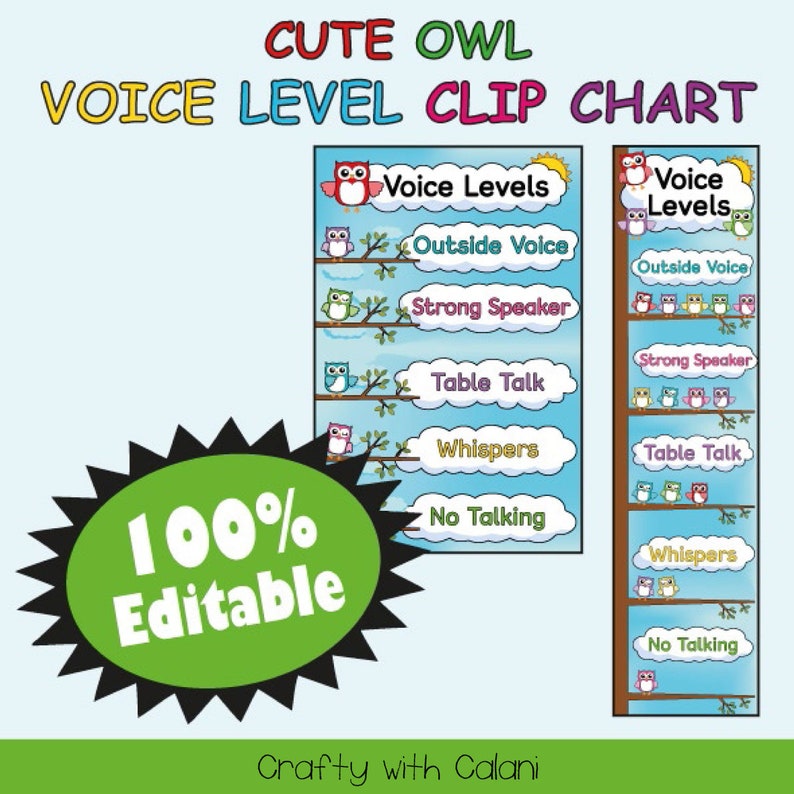 Classroom Voice Level Chart Cute Owl Classroom Theme Etsy