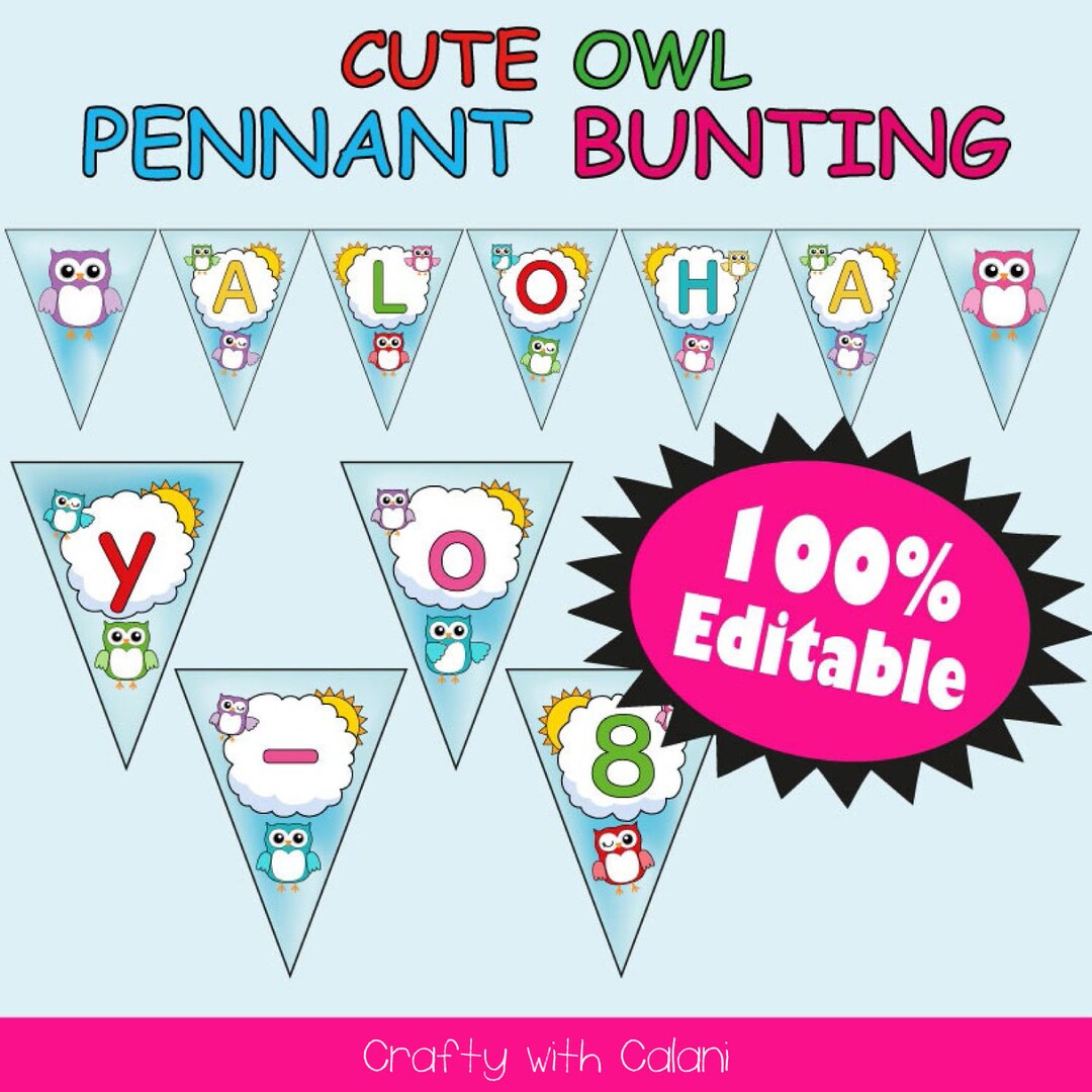 Alphabet Pennant Bunting Classroom Decor Owl Classroom Theme Etsy