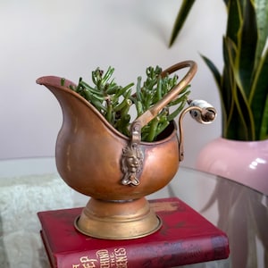 May include: A copper-toned planter with a handle and a lion's head detail, filled with green succulents. The planter rests on a red book with gold lettering. The handle has a white ceramic grip. The style is vintage and decorative, with a classic appeal.