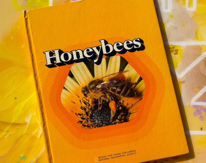 Retro 1970s Honeybees Picture Book found by Willabird Designs Vintage Finds
