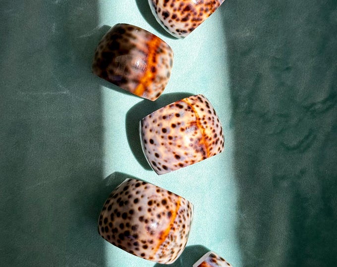 Vintage spotted tiger cowrie shell napkin rings found by Willabird Designs Vintage Finds