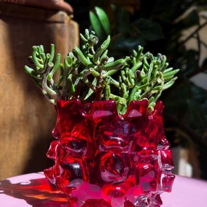 May include: A vibrant red glass planter with a thick, textured, and irregular surface featuring protruding rounded nodes. The vessel contains a green succulent plant with numerous small, tubular, finger-like leaves growing upwards.