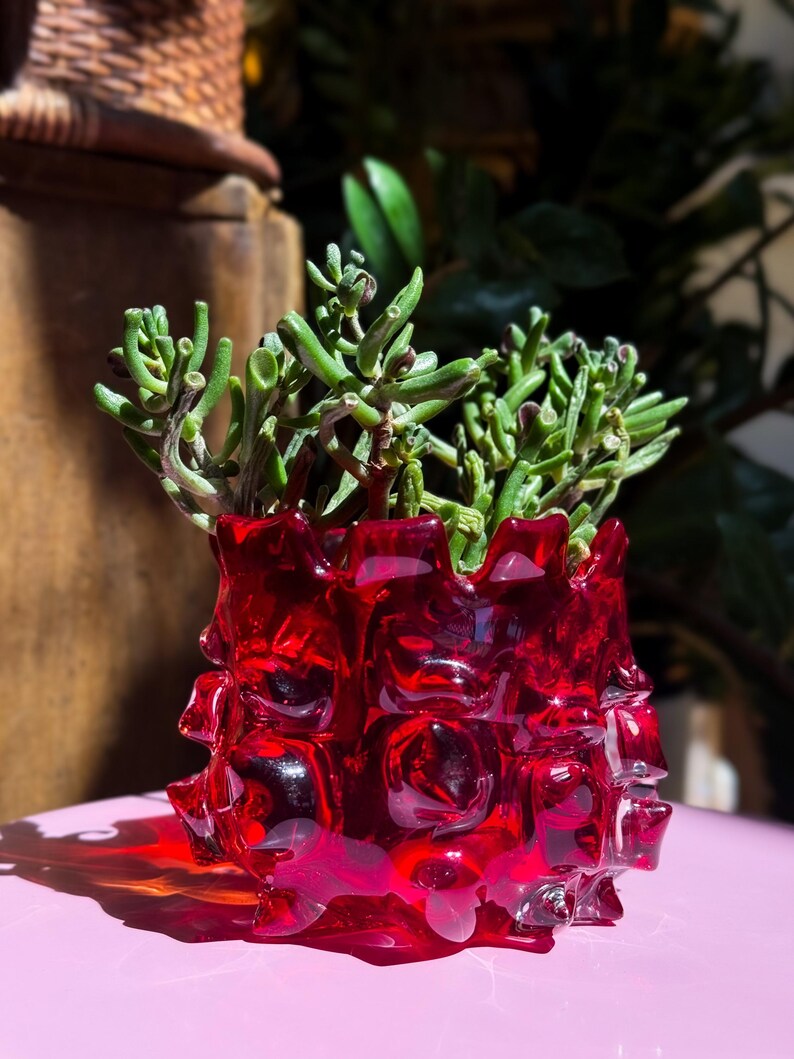 May include: A vibrant red glass planter with a thick, textured, and irregular surface featuring protruding rounded nodes. The vessel contains a green succulent plant with numerous small, tubular, finger-like leaves growing upwards.