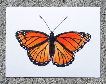 Giclée Print eines Monarchfalters 20x15 cm Monarch Butterfly Schmetterling Kunstdruck