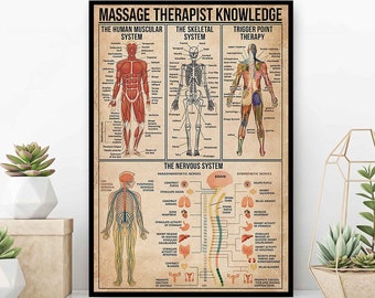 Massage Therapist Knowledge Poster, The Skeletal System Chart, The Human Muscular System, The Nervous System, Trigger Point Therapy Art