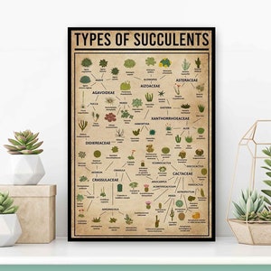 Types Of Succulents Vintage Poster, Knowledge Wall Art, Succulent Wall Art, Plant Sign, Gardening Decor, Succulent Lover Gift, Succulent Art