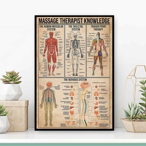 May include: A vintage-style poster with the title "Massage Therapist Knowledge". The poster features illustrations of the human muscular system, skeletal system, and nervous system, along with trigger point therapy information.