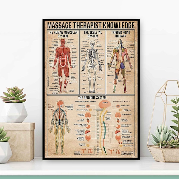 Massage Therapist Knowledge Poster, The Skeletal System Chart, The Human Muscular System, The Nervous System, Trigger Point Therapy Art