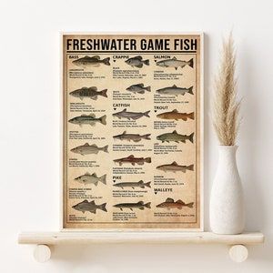 May include: A vintage-style poster featuring illustrations of various freshwater game fish, including bass, crappie, salmon, catfish, trout, pike, and walleye. Each fish is labelled with its common name and scientific name, along with the world record weight and location where it was caught.