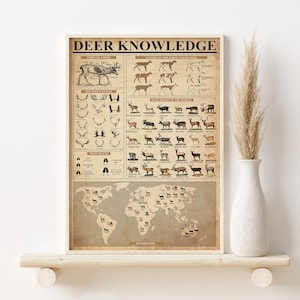 Affiche vintage Deer Knowledge, Type d'impression de cerf, Cadeau pour amateur de cerfs, Carte de répartition des cerfs, Connaissance des rennes, Parties d'un cerf