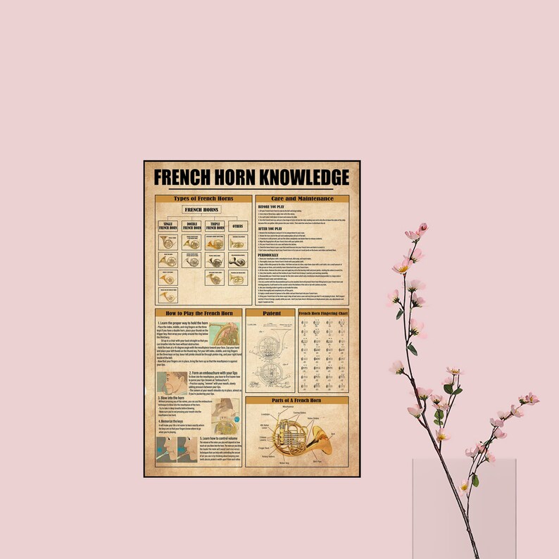 French Horn Knowledge Poster, Types of French Horns, How to Play the