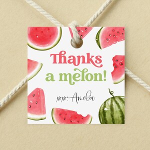 Thanks A Melon Birthday Favor Tag, Watermelon Thank You Gift Tag, One In A Melon Party Favors, Summer Fruit Theme Pink Melon Tags WM6