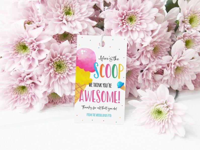 Ice Cream Gift Tag, Here's The Scoop You're Awesome, Summer Thank You Gift Label For School Staff Volunteer Employee, Teacher Appreciation image 6