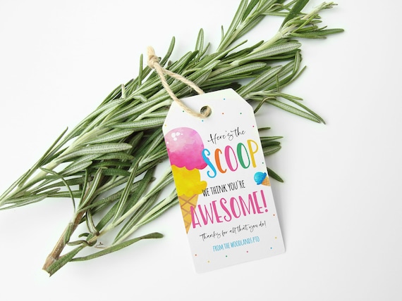 Ice Cream Gift Tag, Here's The Scoop You're Awesome, Summer Thank You Gift Label For School Staff Volunteer Employee, Teacher Appreciation